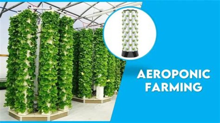 Are aeroponics cost effective