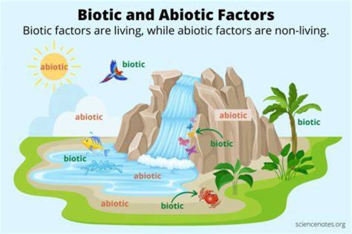 Are animals abiotic or biotic