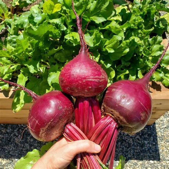 Are beets considered a fruit