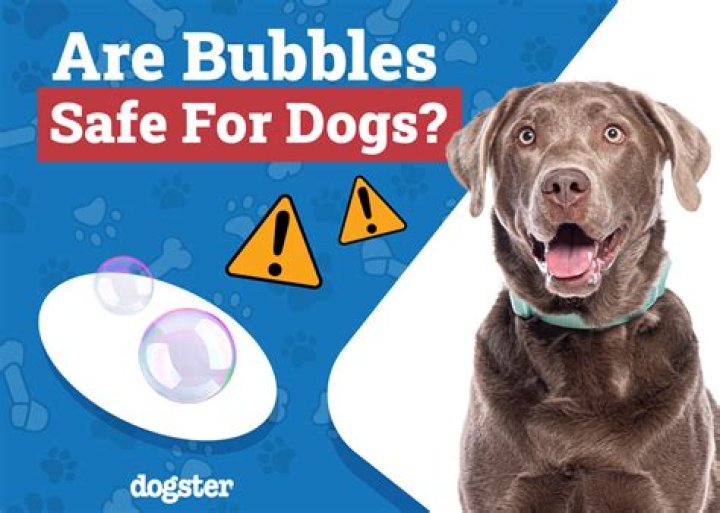 Are bubbles toxic to babies