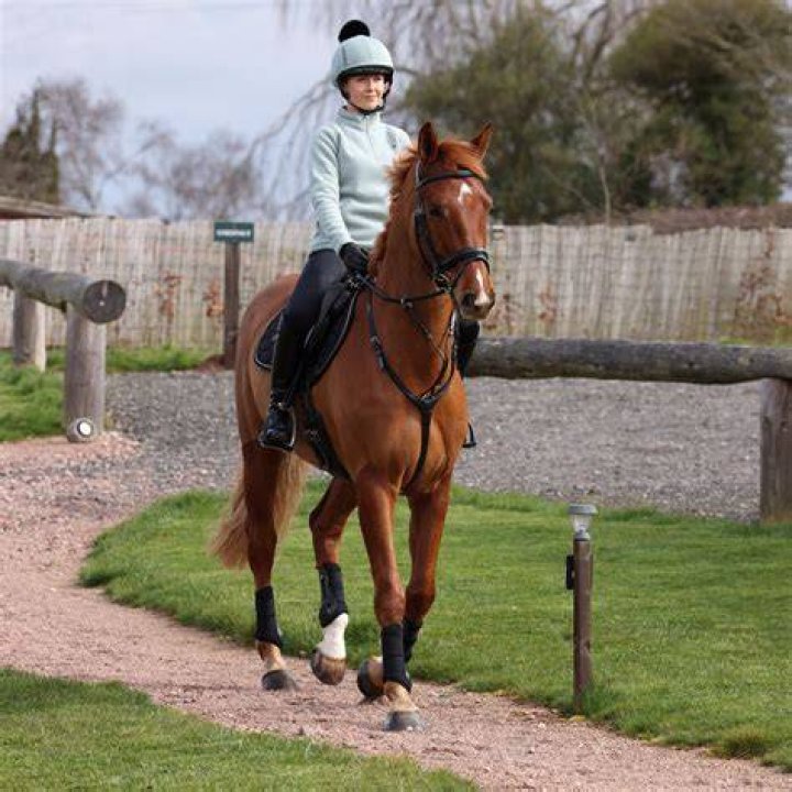 Are cherries safe for horses