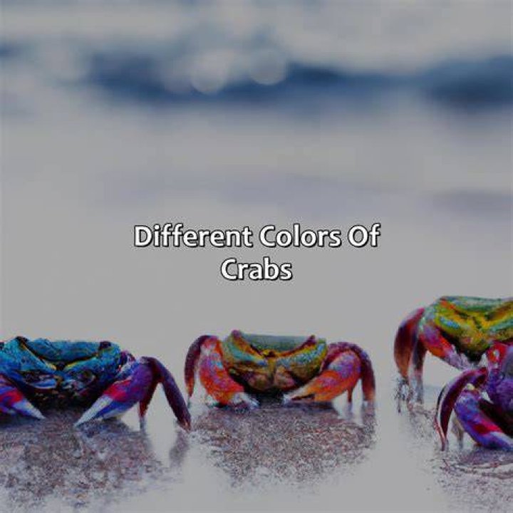 Are color changing crabs real