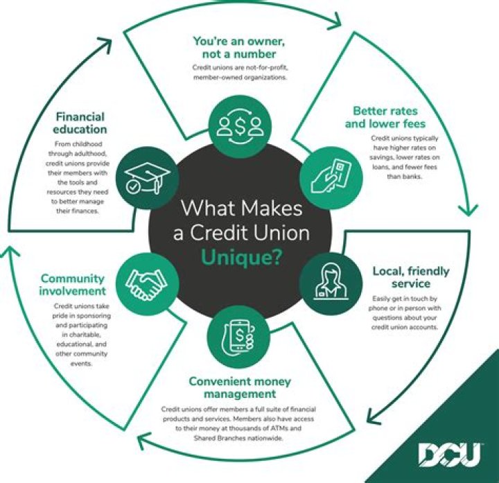Are credit unions profitable