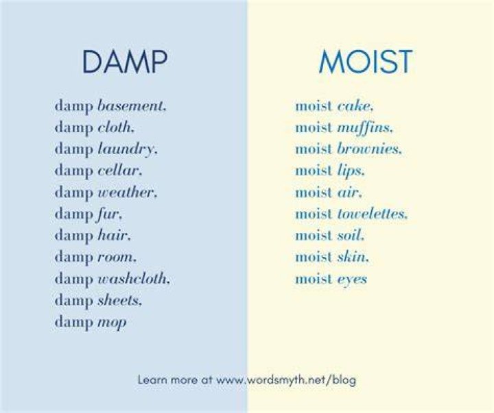 Are damp and moist the same