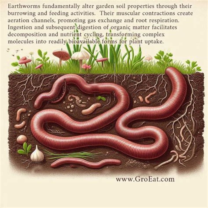 Are earthworms multicellular