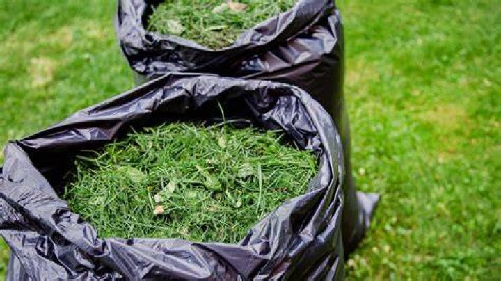 Are grass clippings pollution