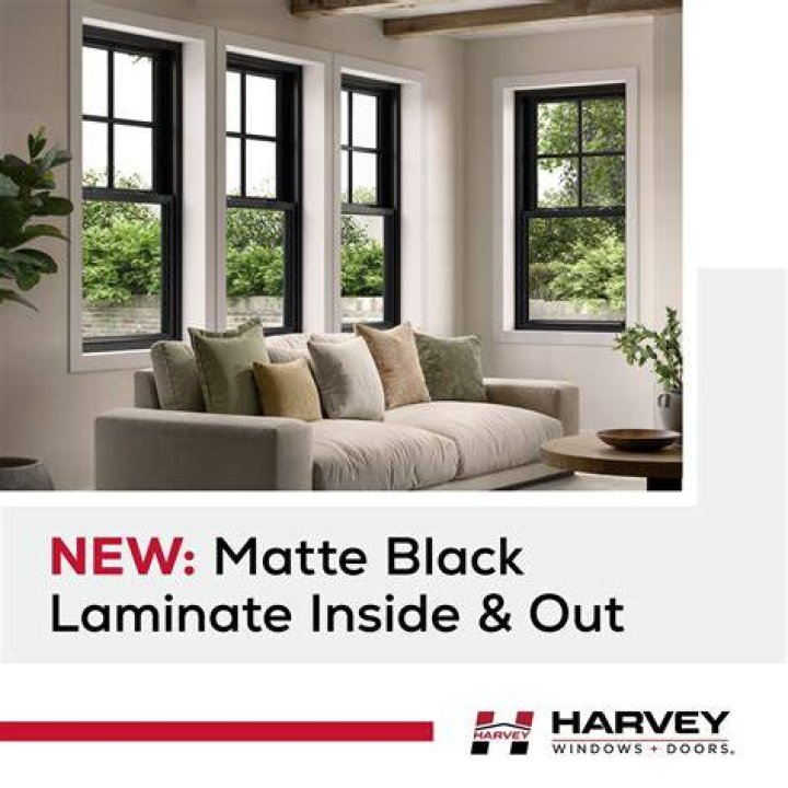 Are Harvey windows expensive