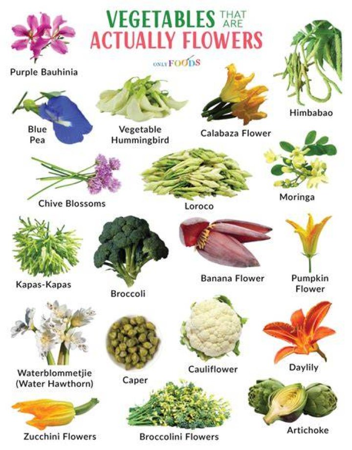 Are herbs considered flowers