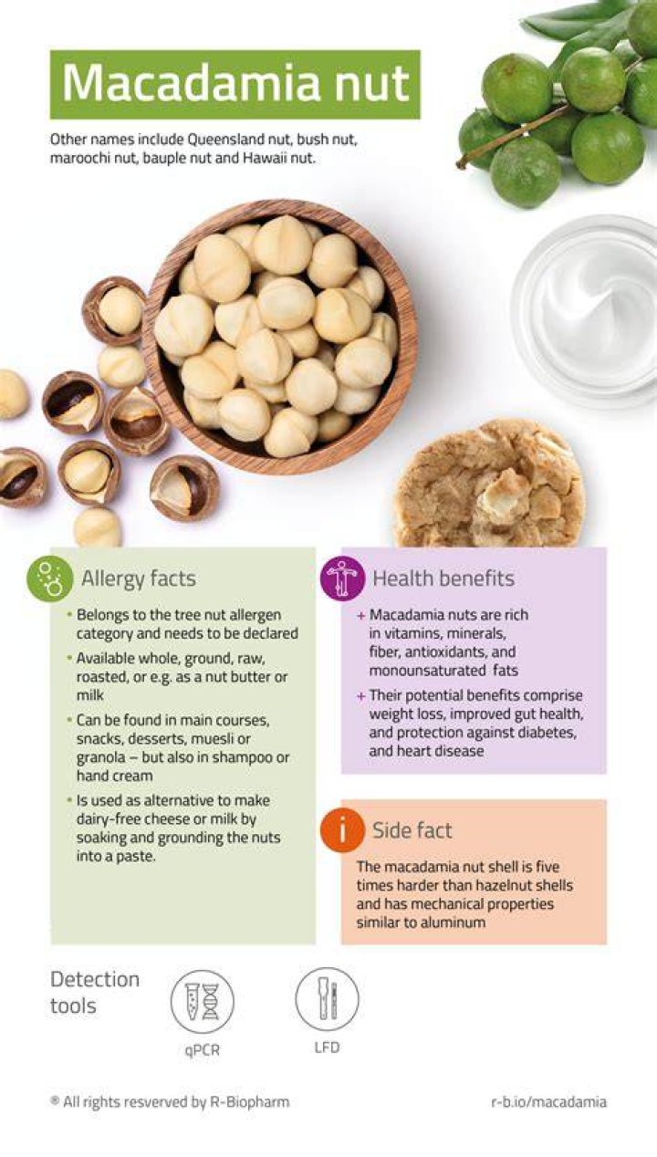 Are macadamia nuts poisonous