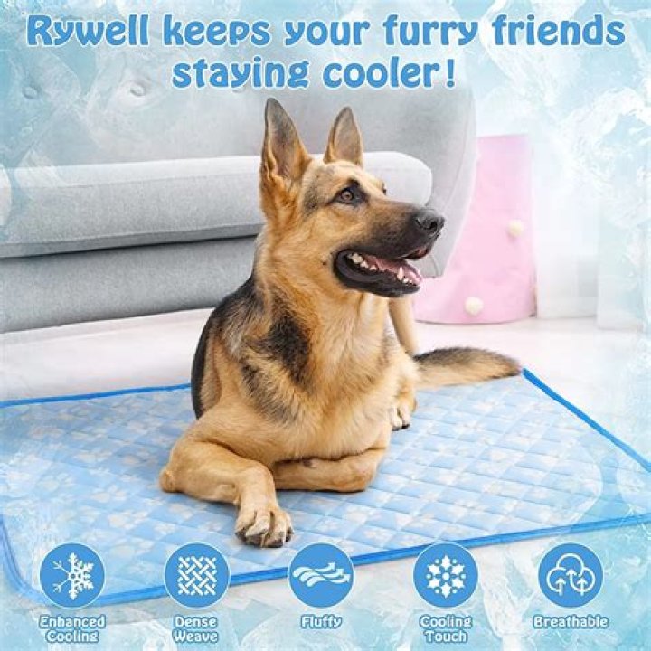 Are pet cooling mats worth it