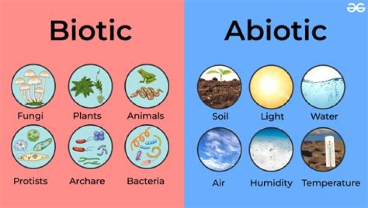Are plants biotic or abiotic