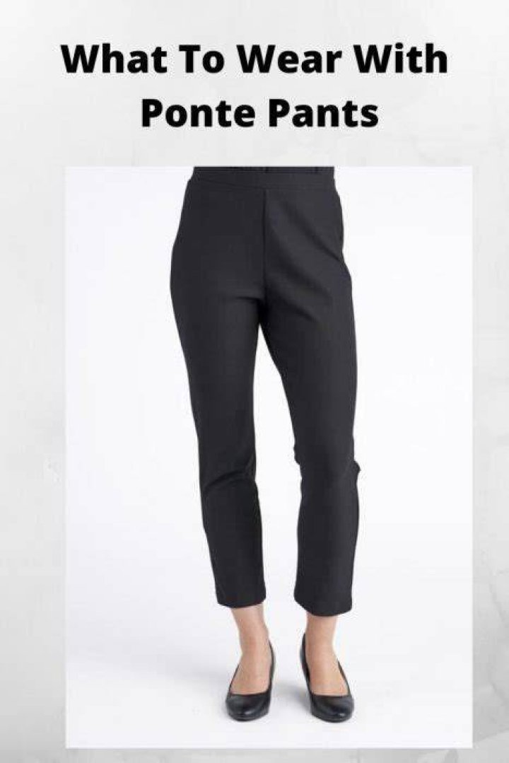 Are Ponte pants professional