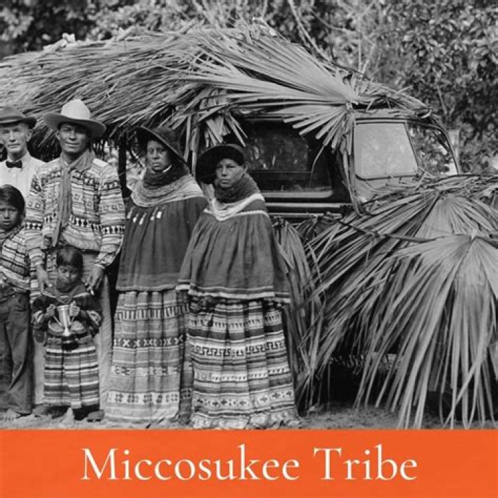 Are the Miccosukee Seminole