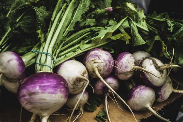 Are turnips white or purple