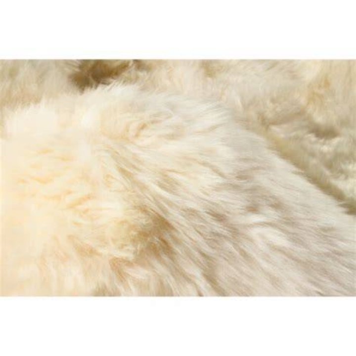 Are wool rugs hypoallergenic