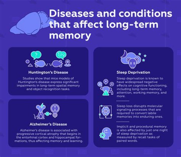 Can attention affect memory