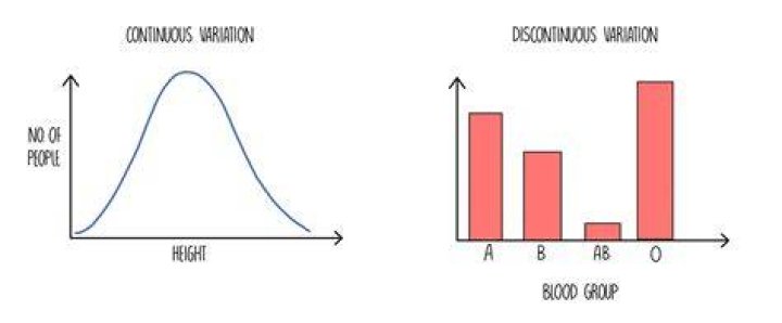Can bar graph be continuous