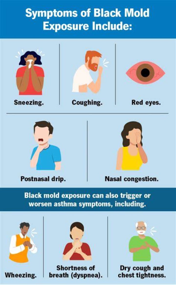 Can black mold cause intestinal problems