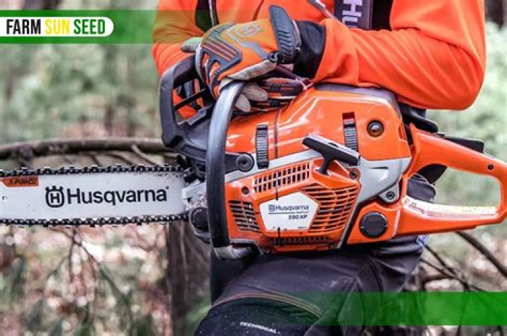 Can chainsaw run without oil