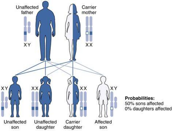 Can genes skip 2 generations