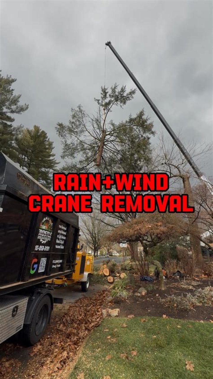 Can house wrap get rained on