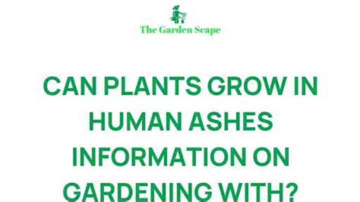 Can human ashes grow a tree