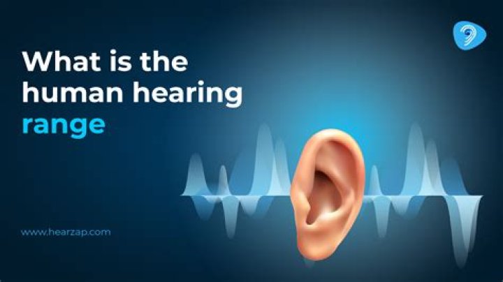 Can humans hear echolocation