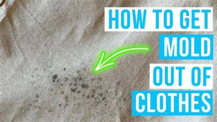 Can moldy clothes be cleaned