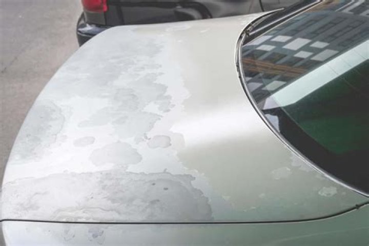 Can oxidized paint be fixed
