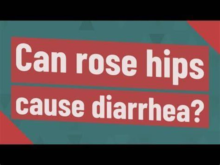 Can rose hips cause diarrhea