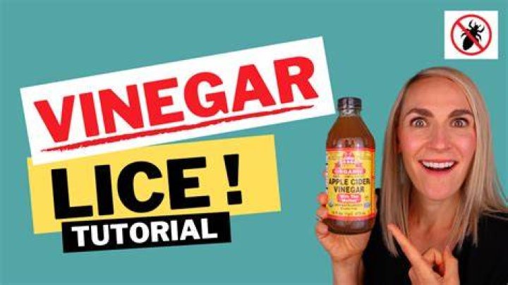 Can vinegar kill body lice