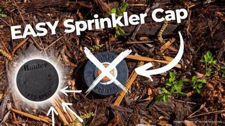 Can you cap a sprinkler head