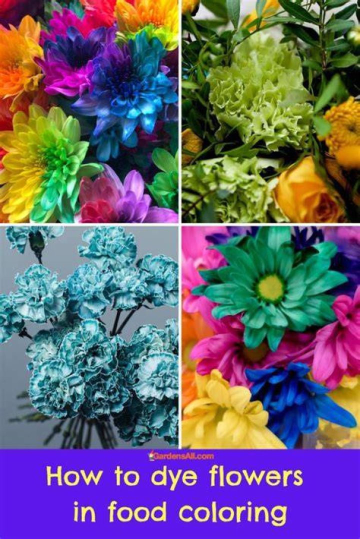 Can you dye colored flowers