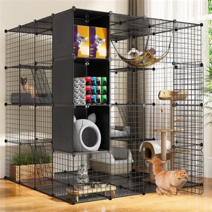 Can you keep a cat in a cage