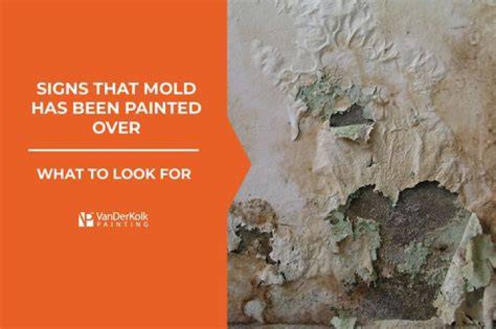 Can you paint over oxidation