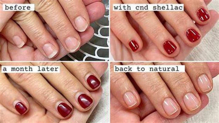 Can you put stain in shellac