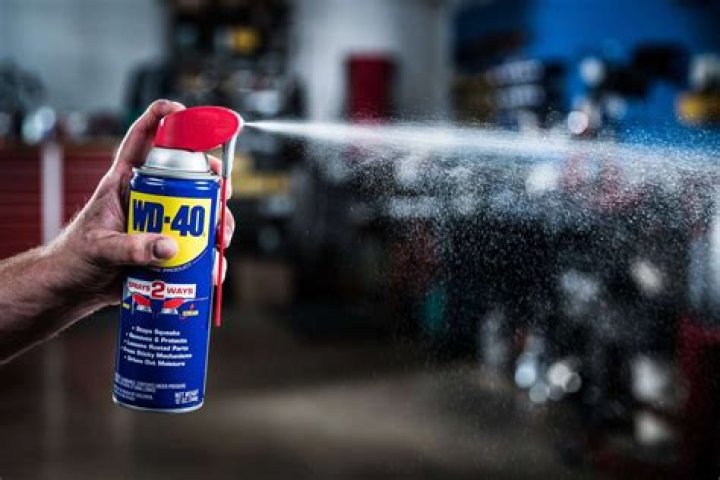Can you spray wd40 on engine