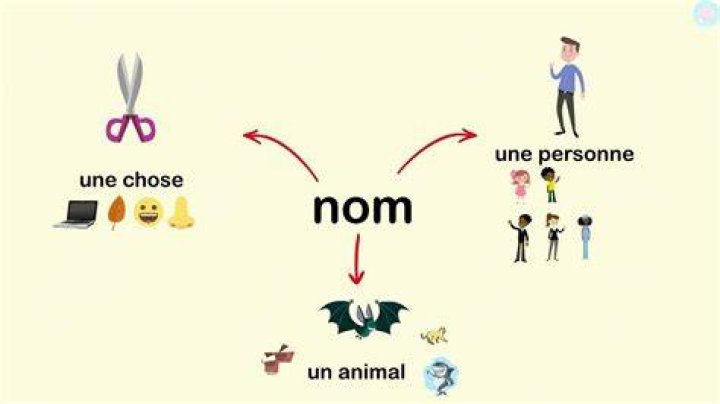 Cest quoi un nom masculin