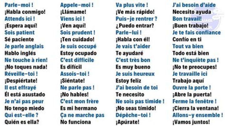 ¿Cómo se despide en francés