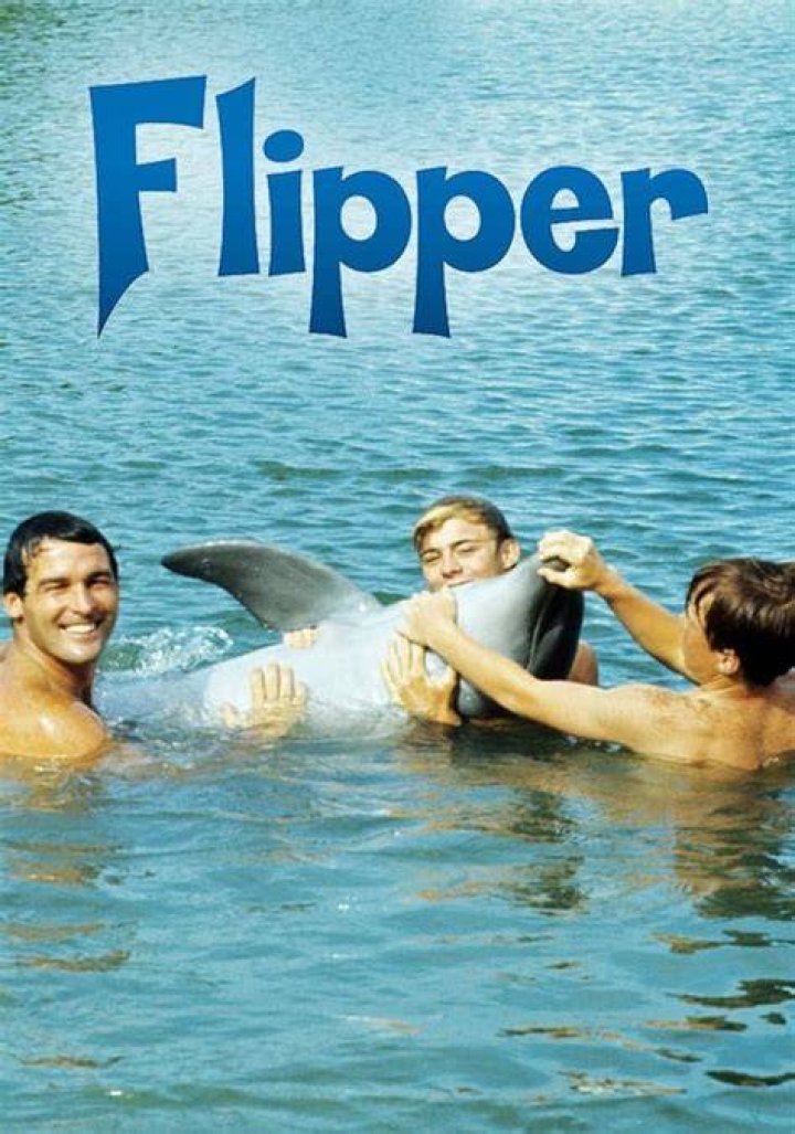 Did Flipper the dolphin die