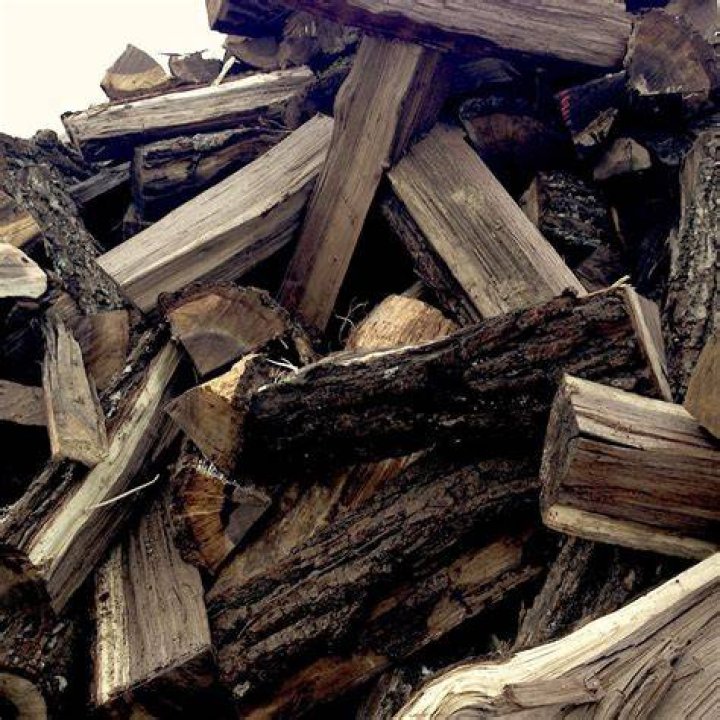 Do aspens make good firewood