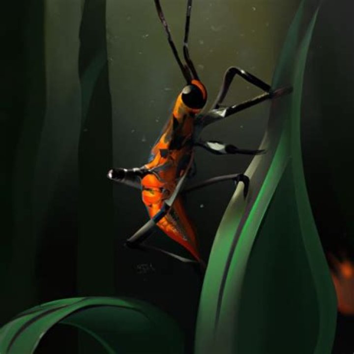Do assassin bugs eat spiders