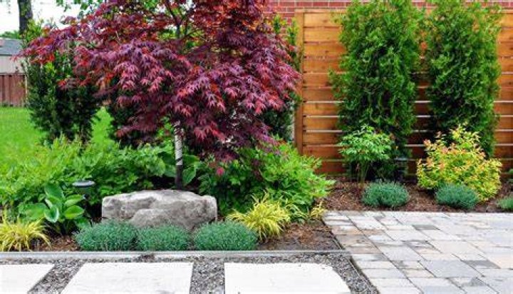 Do Astilbes do well in pots