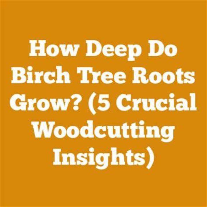 Do birch tree roots go deep