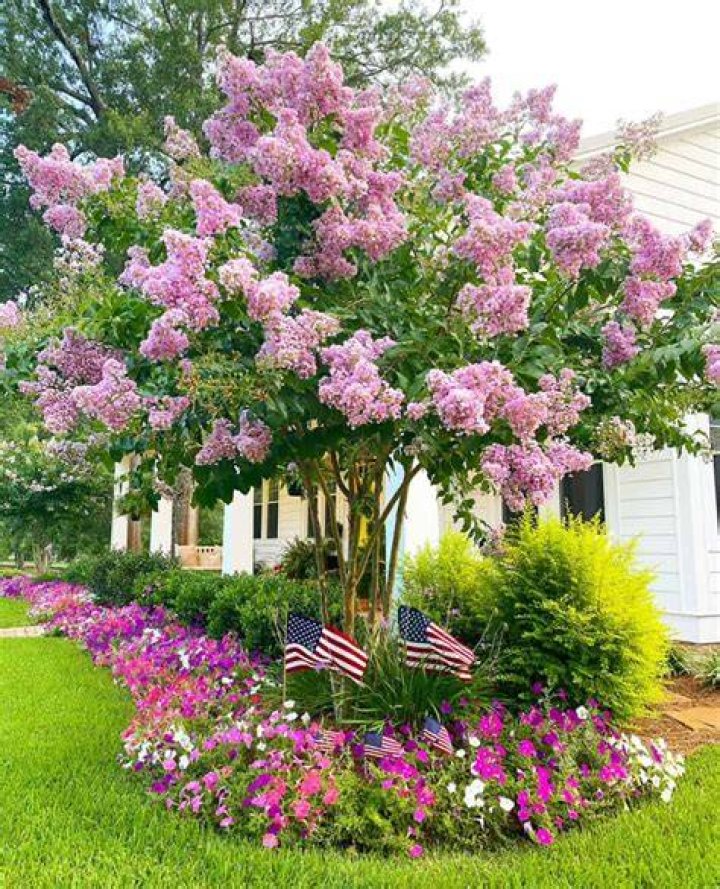 Do crepe myrtles have nectar