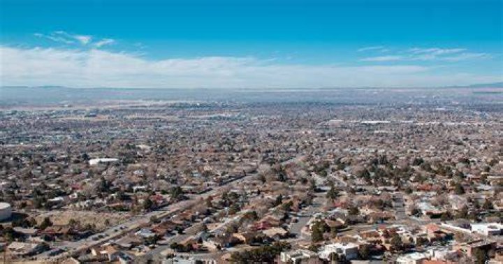 Do crows live in Albuquerque