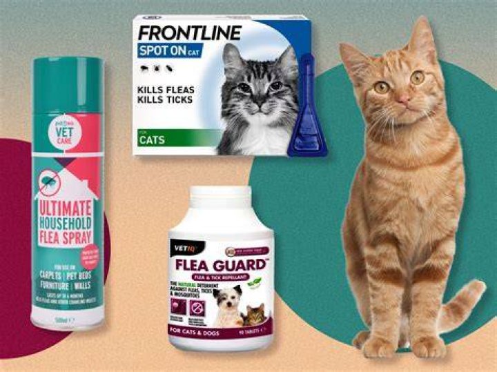 Do flea pills work for cats
