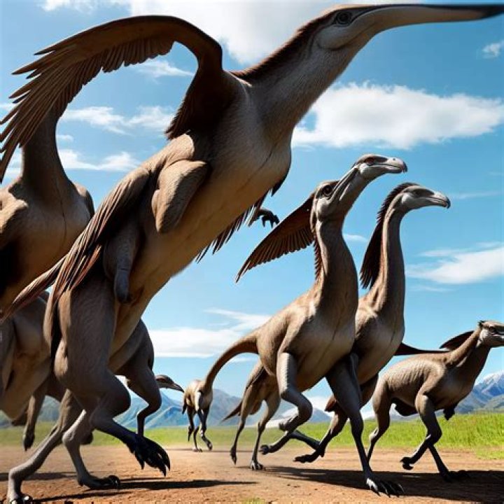 Do Gallimimus gather berries