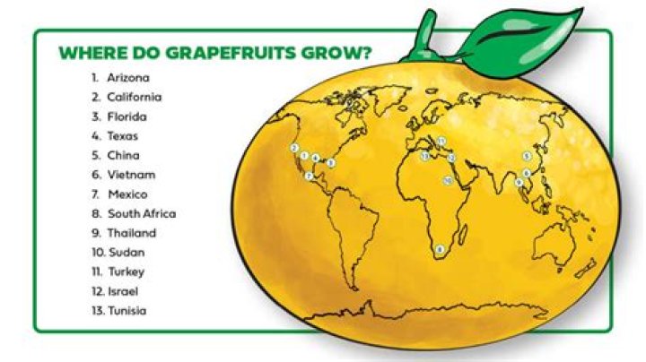 Do grapefruit grow in Texas