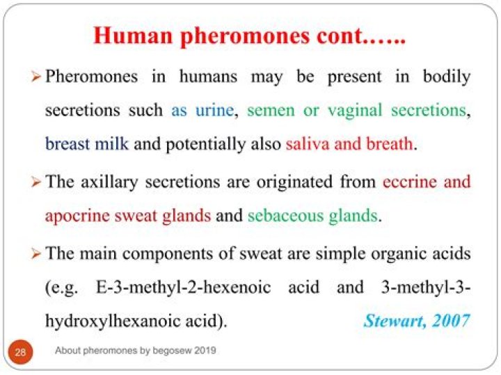 Do humans produce pheromones